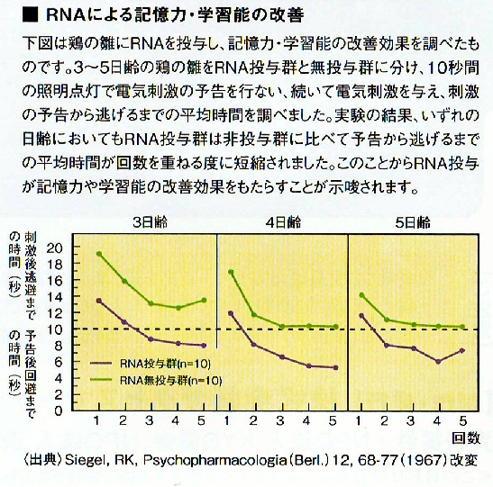 RNAによる記憶力・学習能の改善